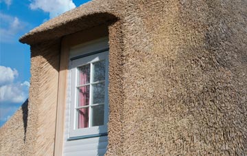 Lochbuie thatch roof disadvantages
